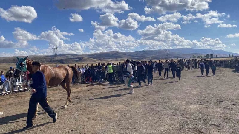 Bingöl'ün Karlıova ilçesinde düzenlenen 4. Geleneksel Toklular At Yarışları, 40 yarışmacının katılımıyla gerçekleştirild