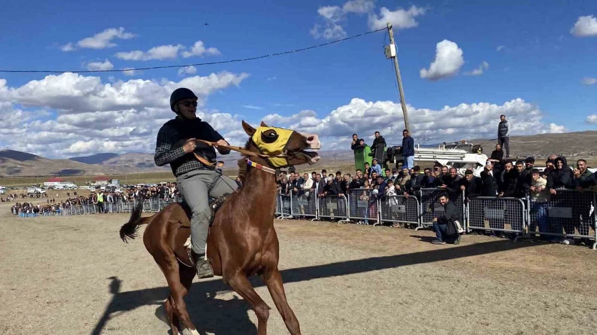 Bingöl Karlıova’da düzenlenen 4. Geleneksel Toklular At Yarışları renkli görüntülerle gerçekleşti
