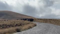Bitlis Maarif Ailesi Nemrut’ta doğa yürüyüşünde buluştu