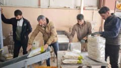 Bitlis’te kuru fasulye tarlasında yetişen fasulye bitkileri ve üretim alanı