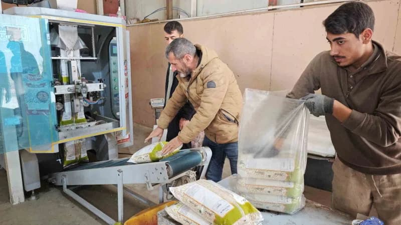 Bitlis, Türkiye’nin tohumluk kuru fasulye üretiminin yüzde 75’ini karşılayarak bu alanda ilk sırada