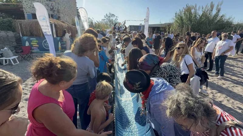 Balık festivalinde 6 bin yavru Balık denizle buluştu