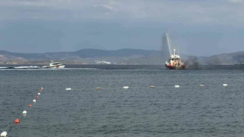 Balık festivalinde 6 bin yavru Balık denizle buluştu