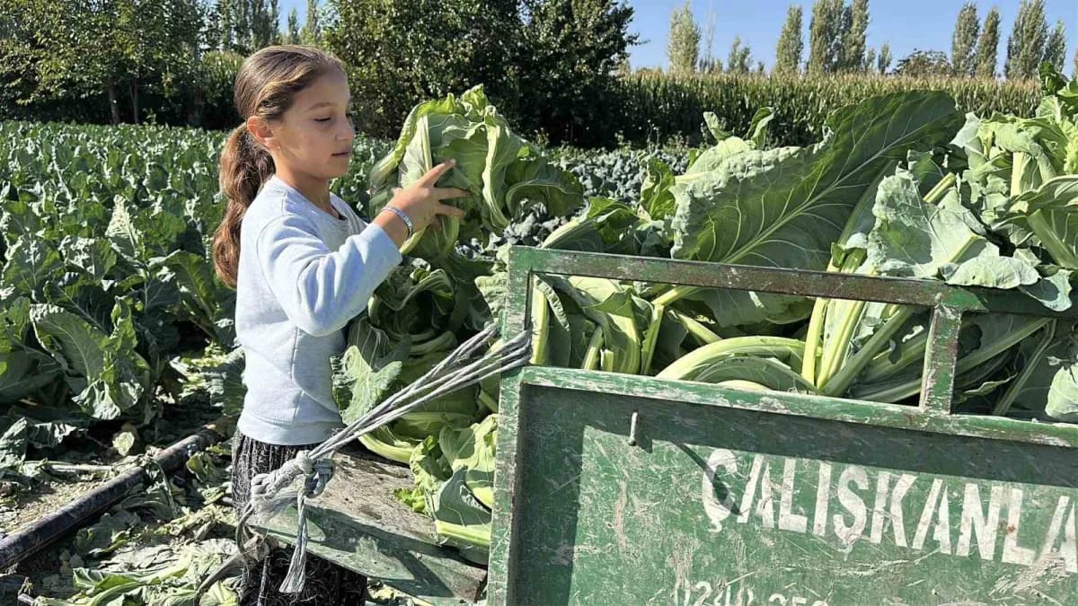 Burdur’da 9 yaşındaki Medine tarlada ailesine yardım ederken eğitimine devam ediyor