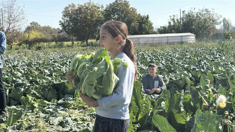 Hafta içi okuluna devam eden 4'üncü sınıf öğrencisi Medine, derslerinin ardından ve hafta sonları ai