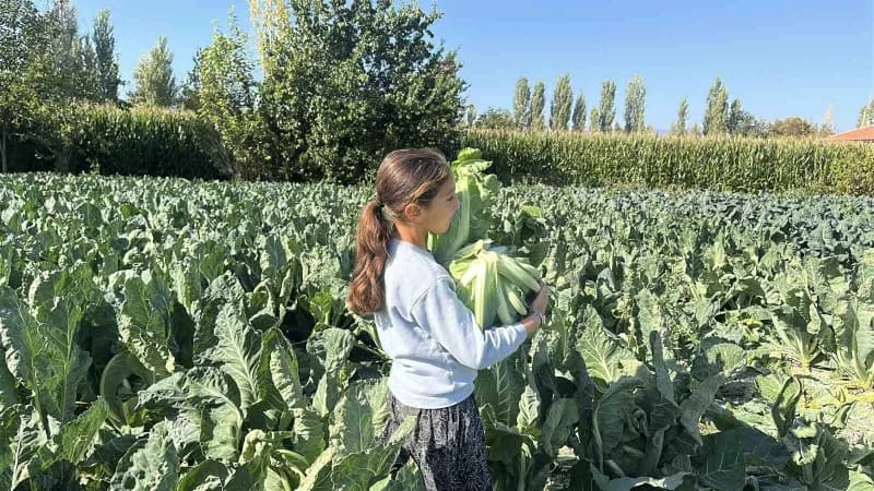 Burdur'da ailesine tarlada çalışarak yardım eden 9 yaşındaki 4'üncü sınıf öğrencisi, yağmurun ve gün