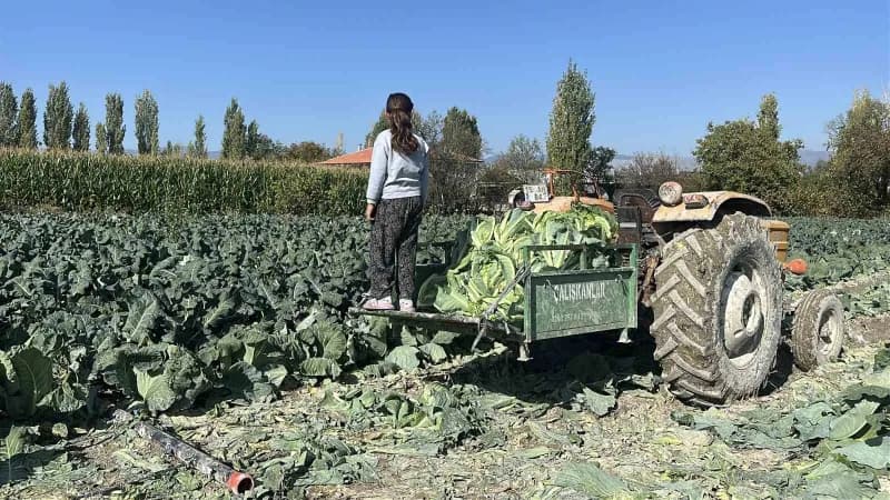 Burdur'da ailesine tarlada çalışarak yardım eden 9 yaşındaki 4'üncü sınıf öğrencisi, yağmurun ve gün