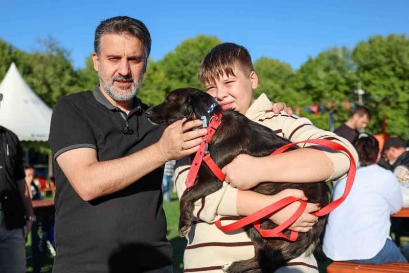 Bursa Büyükşehir Belediyesi, can dostların yaşam koşullarını iyileştirmek ve sahiplendirmeyi teşvik etmek amacıyla düzen