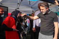 Bursa Büyükşehir Belediyesi tarafından düzenlenen Yuvalandırma Şenliği’nde sahiplendirilen köpek ve kediler