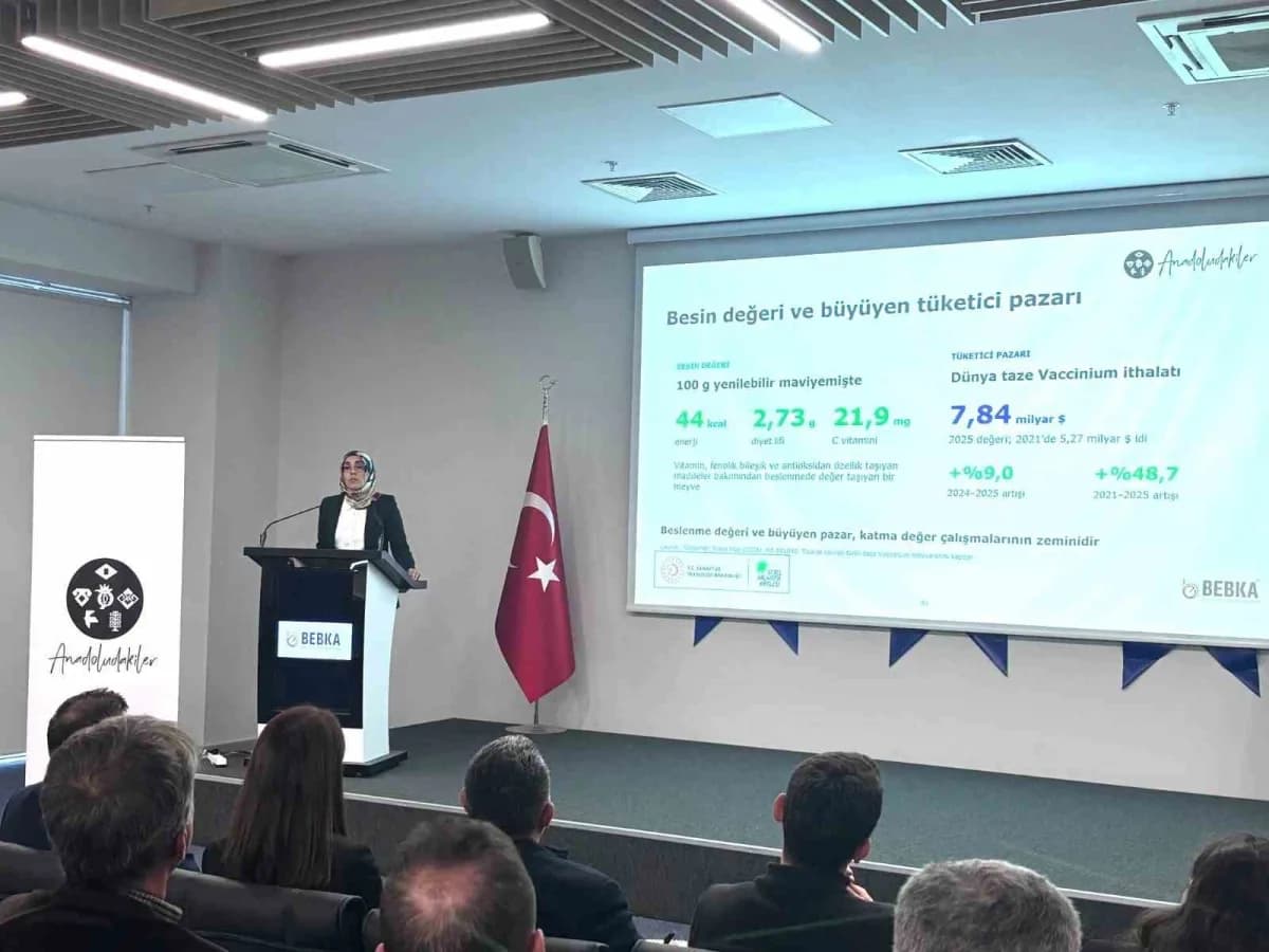 Bursa Eskişehir Bilecik Kalkınma Ajansı (BEBKA) tarafından, "Anadoludakiler: 81 İl 81 Ürün Programı"