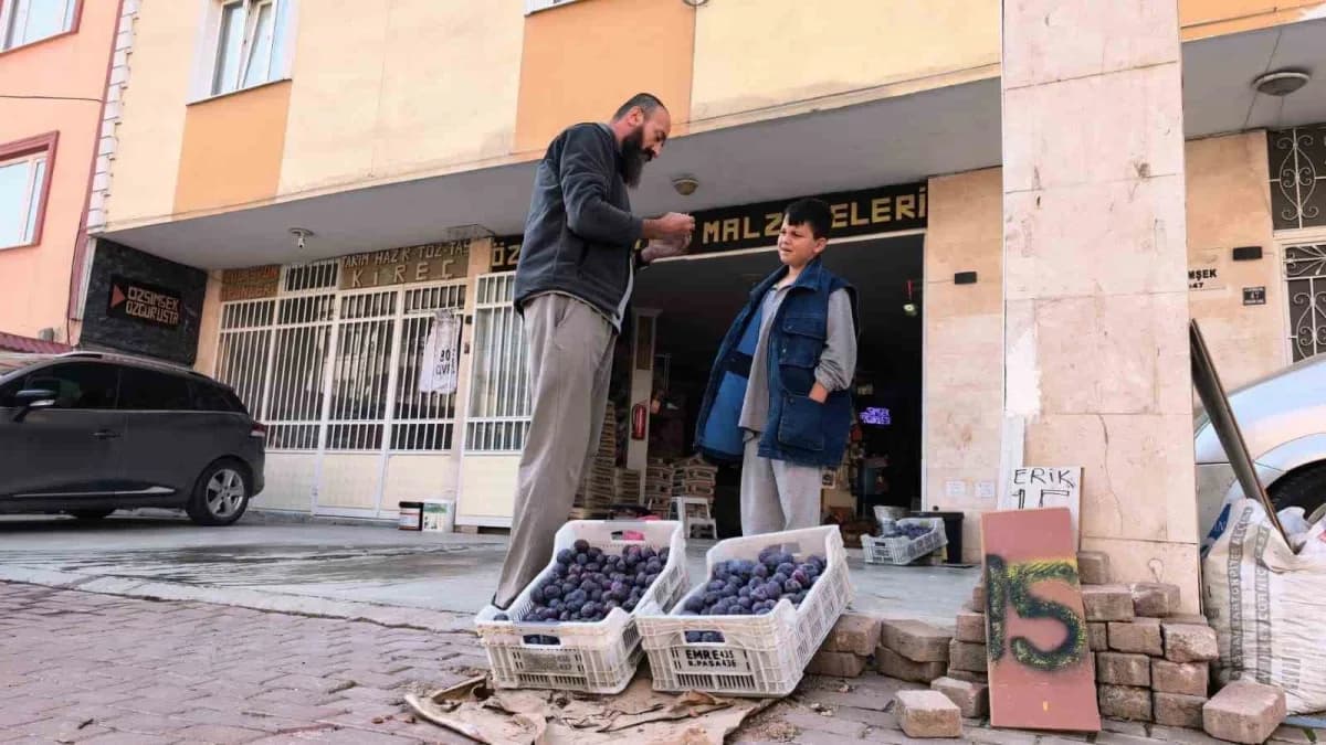 Bursa’nın İnegöl ilçesinde annesine ait tarlada yaklaşık 10 ton erik yetiştiren 48 yaşındaki Özgür Şimşek, ürünlerini sa