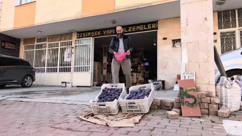 Bursa’nın İnegöl ilçesinde annesine ait tarlada yaklaşık 10 ton erik yetiştiren 48 yaşındaki Özgür Şimşek, ürünlerini sa