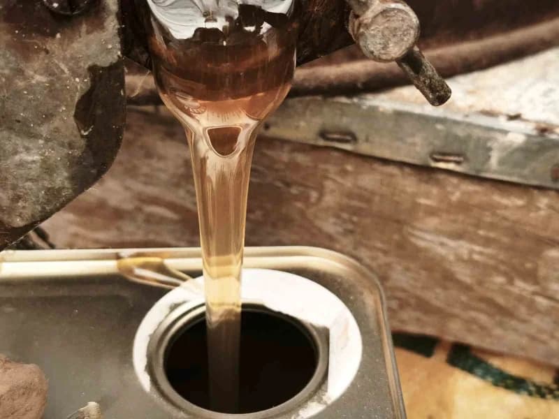 Laboratuvar tahlillerinden geçen organik çam balının gerçek değerini bulmasını isteyen üreticiler, h