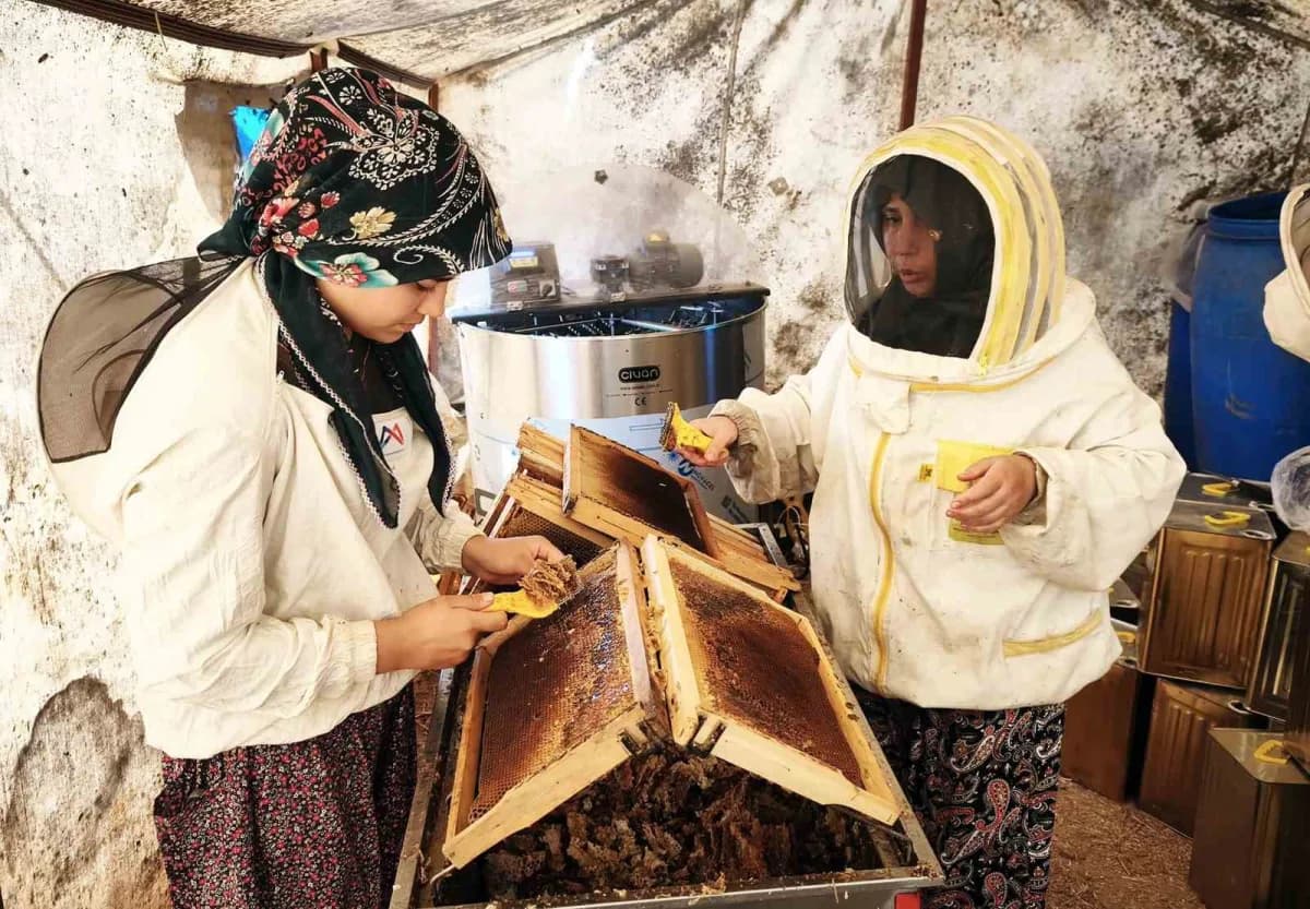 Muğla’da çam balı üreticileri arı kovanlarının yanında duruyor