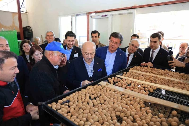 Tesiste önce yıkanan ve ardından kurutmaya alınan cevizler protokole tanıtıldı.