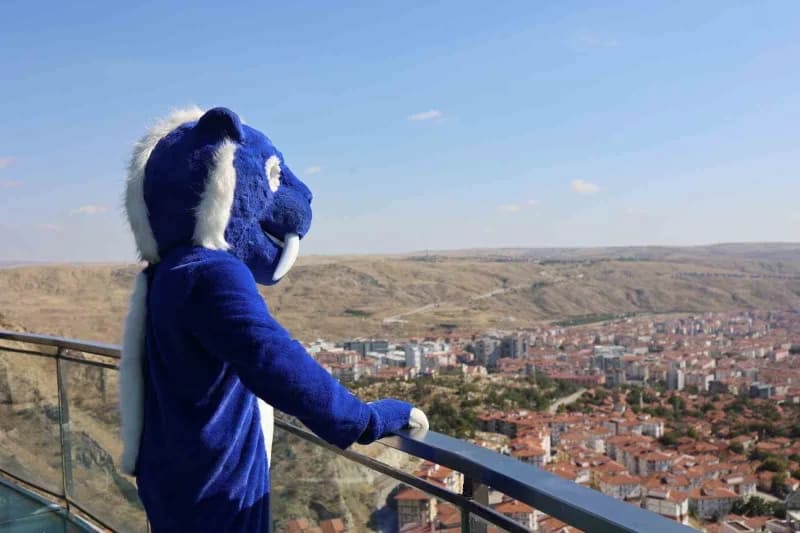 Çankırı’da yaşayan Burak Dumlupınar, kentin simgesi olan kılıç dişli kaplan kostümüyle 3 senedir vatandaşlara Çankırı’nı