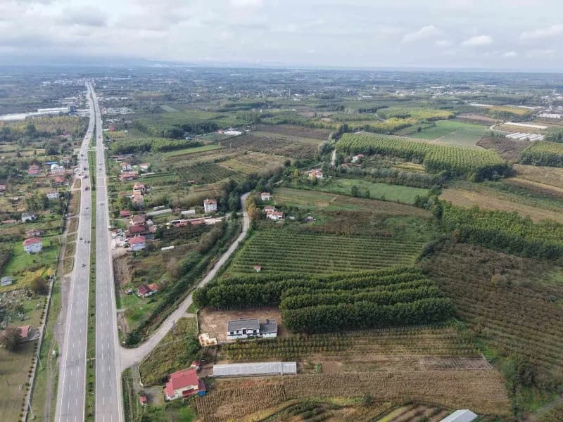 Türkiye'nin en verimli tarım alanlarından Çarşamba Ovası'nda sebze üretimi azalırken, kavak ve fındı