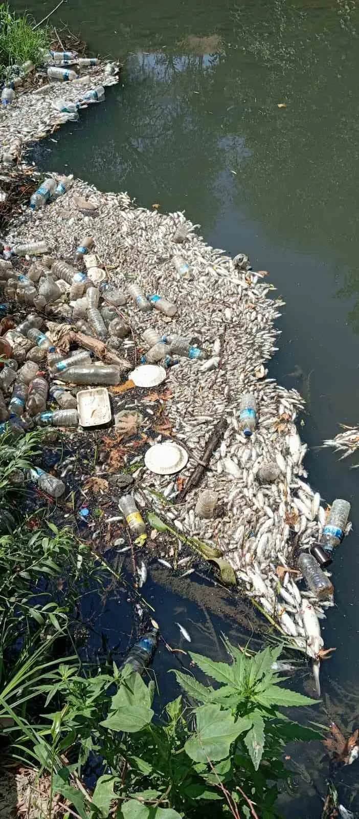 Diyarbakır’ın Çermik ilçesi Sinek çayına 8 ayrı noktadan karışan ilçenin kanalizasyon sorununun çözümü için duyarlı 26 m