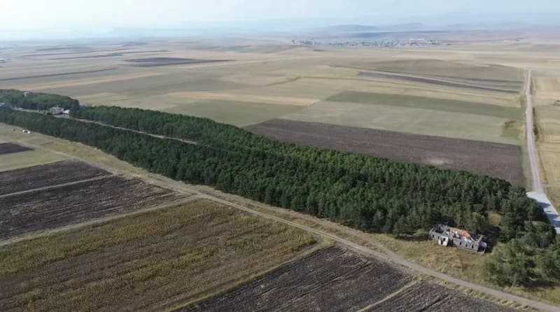 Kars-Sarıkamış demir yolu hattında 55 yıl önce dikilen fidanların oluşturduğu geniş orman görüntüsü