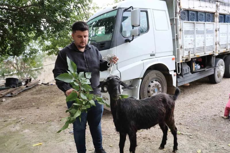 Kemal Karaköse ve keçisi