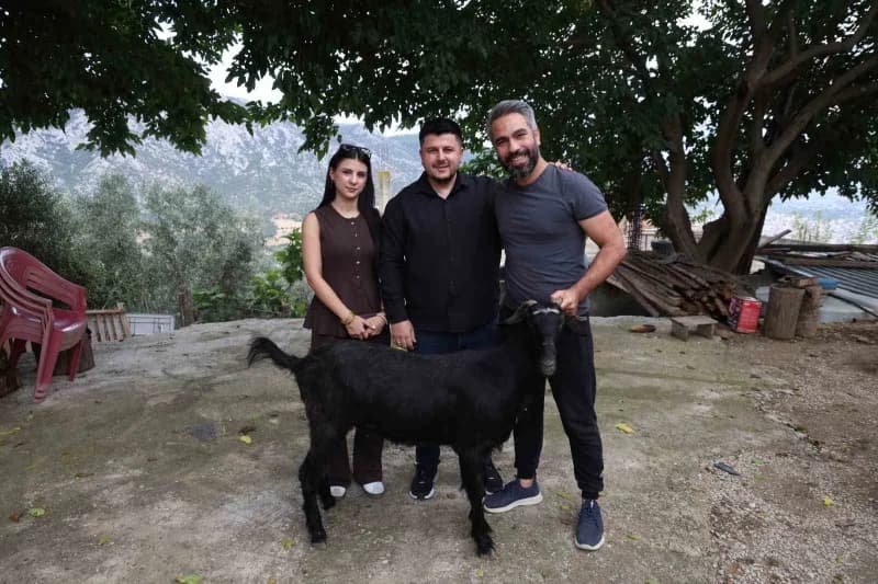 Adana Kozan'da düğünde süslenmiş keçi hediye edilen çift ve davetliler
