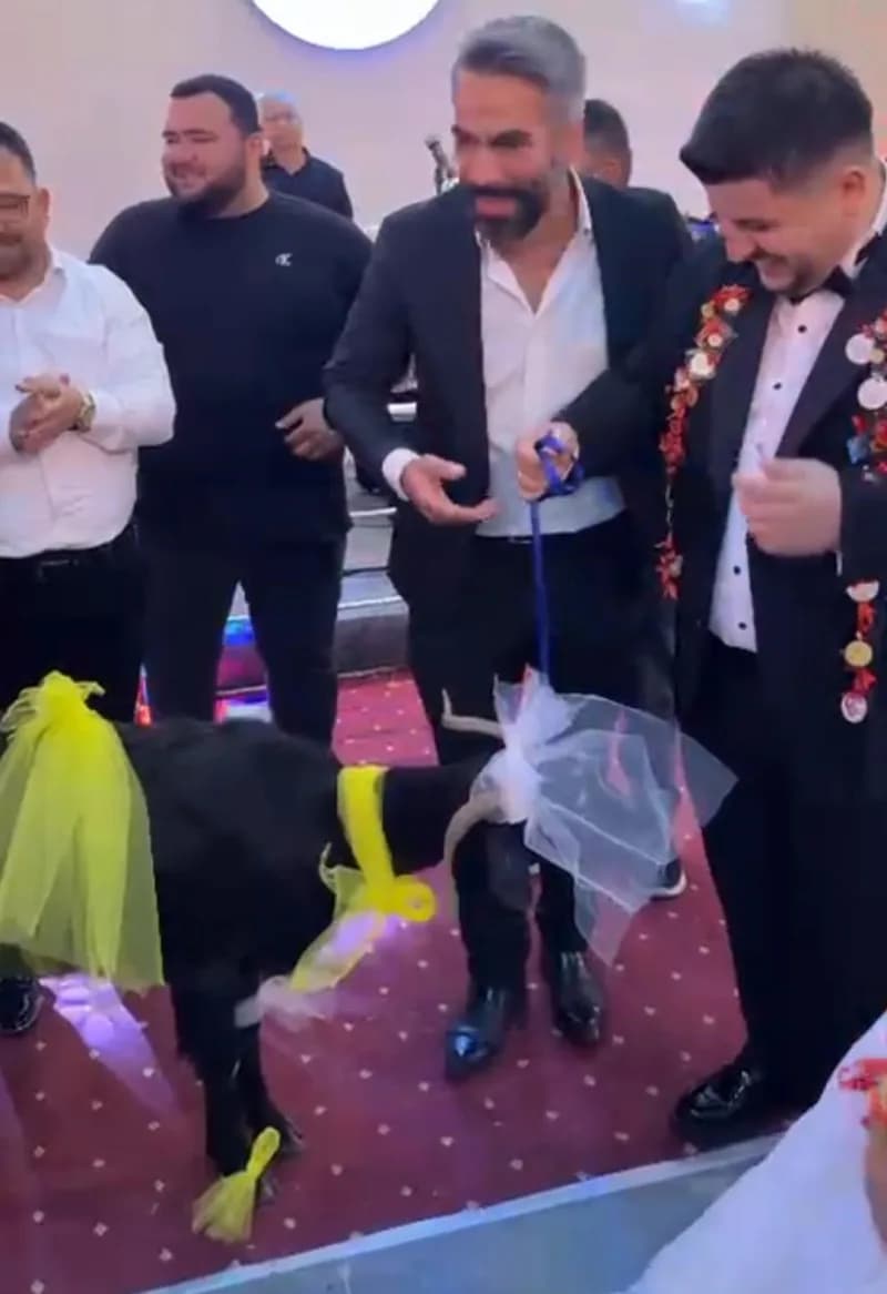 Adana’nın Kozan ilçesinde Cennet Kayadelen ile Kemal Karaköse çiftinin düğününde, damadın kebap ve mangal sevgisi sıra d