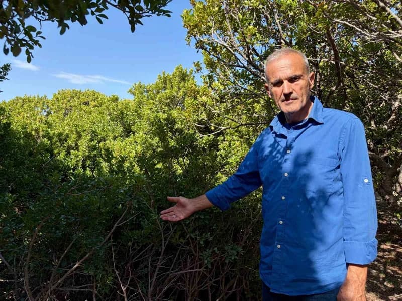 Çeşme Sakız Üreticileri Derneği Başkanı ve üretici İbrahim Topal