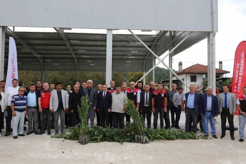 Muğla’da defne hasadı ve fidan dağıtımı etkinliğinde kadın üreticiler defne fidanlarıyla poz veriyor