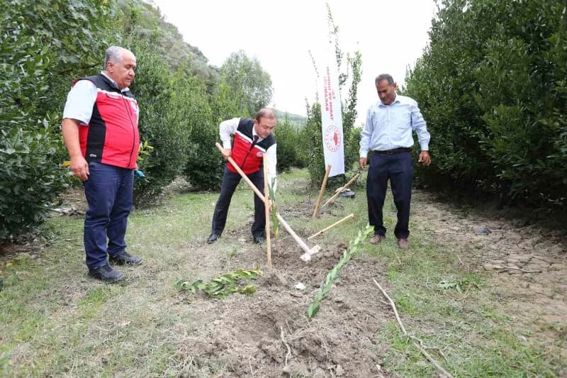 Muğla’nın Ula ilçesine bağlı Yeşilova Mahallesi’nde Defne hasadı ve fidan dağıtımı, Akyaka Mahallesi’nde ise avokado has