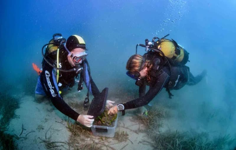 Antalya Kemer Tekirova’da Üç Adalar Projesi kapsamında denizaltı yaşamının korunması için yapılan