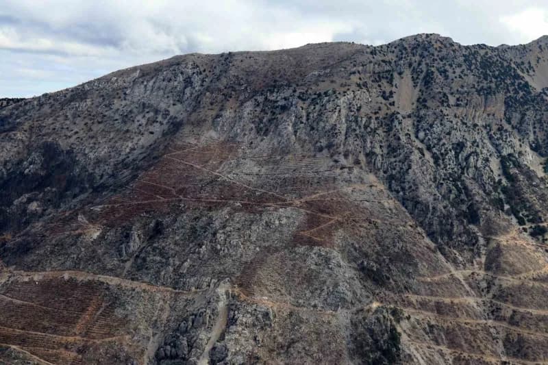 Denizli Orman Bölge Müdürü Ahmet Köle, bu yıl kentte meydana gelen 59 Orman yangınında 114 hektarlık alanın zarar gördüğ