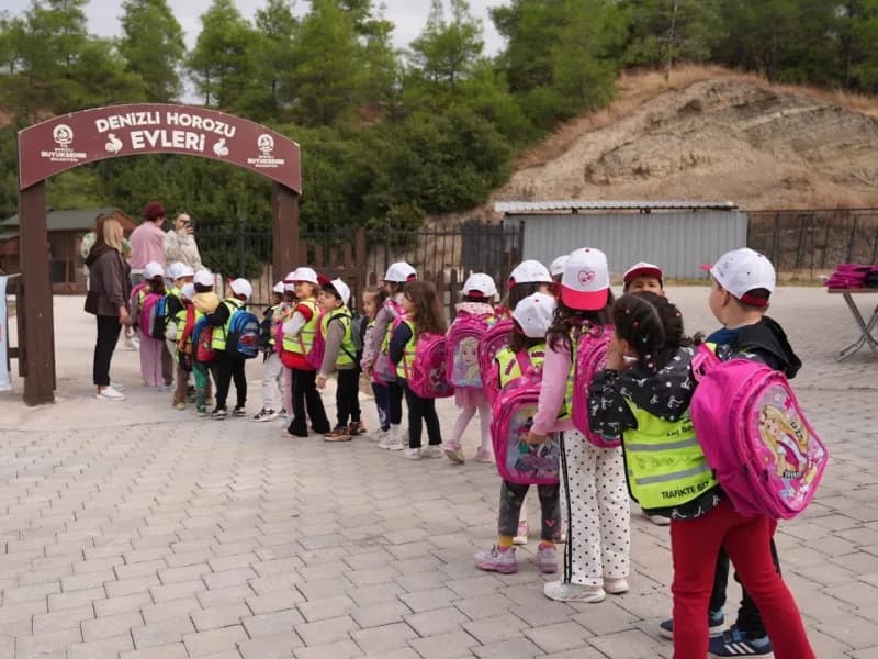 Denizli Büyükşehir Belediyesi, 4 Ekim Dünya Hayvanları Koruma Günü dolayısıyla Sokak Hayvanları Barınma ve Rehabilitasyo