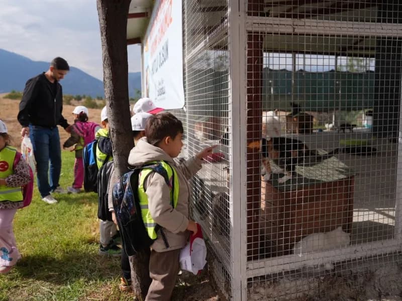 Denizli Büyükşehir Belediyesi, 4 Ekim Dünya Hayvanları Koruma Günü dolayısıyla Sokak Hayvanları Barınma ve Rehabilitasyo