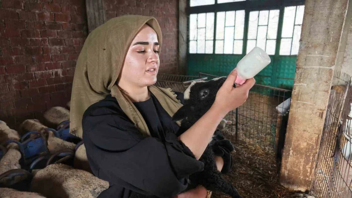 Aslıhantepecik Mahallesi´nde ailesiyle birlikte hayvancılık yapmaya devam eden Demirci, 2022 yılında