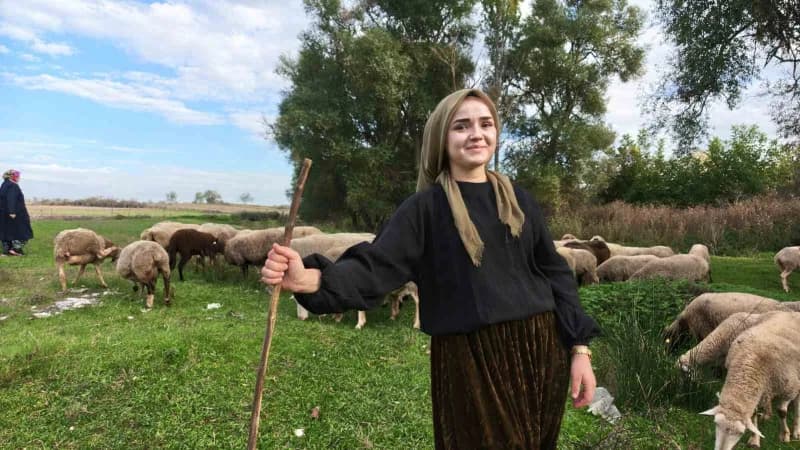 Balıkesirli genç kadın Sueda Demirci koyun yetiştiriciliği işletmesinde hayvanlarla birlikte