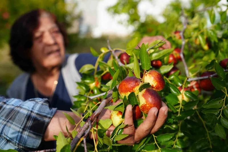 Eşi Şaheste Menekşe de bahçeyle ilgilenmekten büyük mutluluk duyduklarını söyledi.
