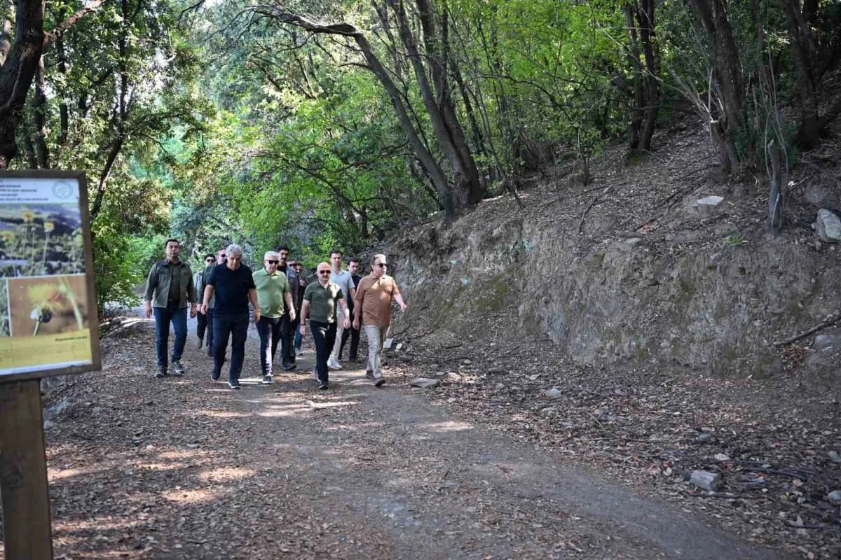 Aydın'ın 804 bitki türüne ev sahipliği yapan Dilek Yarımadası Büyük Menderes Deltası Milli Parkı'nda doğal yaşamın korun