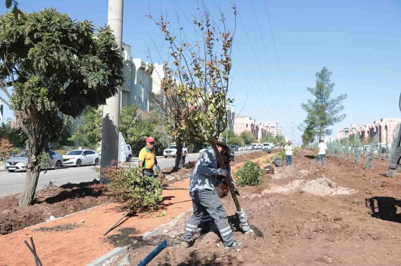 Diyarbakır Büyükşehir Belediyesi, yıl sonu için belirlediği toplam 21 bin ağaç, 100 bin çalı ve 1,5
