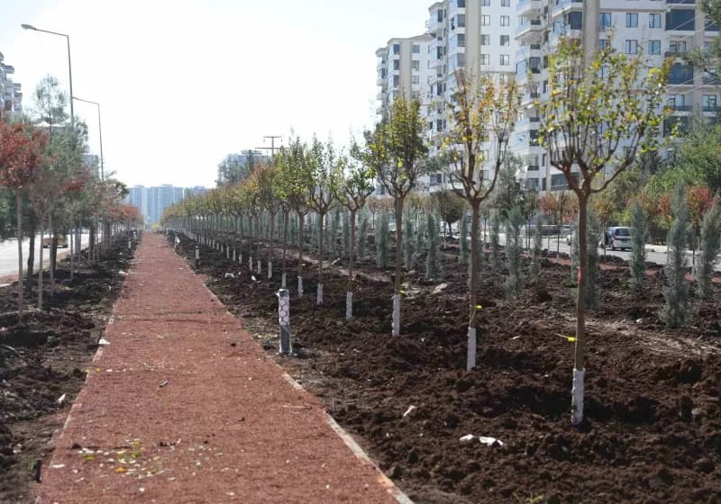 Diyarbakır Büyükşehir Belediyesi, yıl sonu için belirlediği toplam 21 bin ağaç, 100 bin çalı ve 1,5