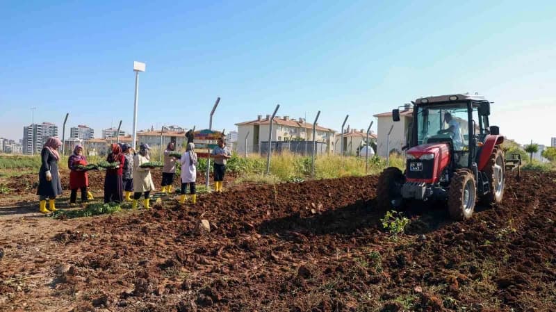 Diyarbakır Büyükşehir Belediyesinin Kadın Komün Kent Bostanında yazlık ürünlerin ardından kışlık ekim dönemi başladı. 18