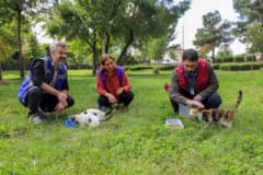 Diyarbakır’da sokak hayvanları için yapılan farkındalık çalışmasında besleme alanları ve veteriner hekimler görev başınd