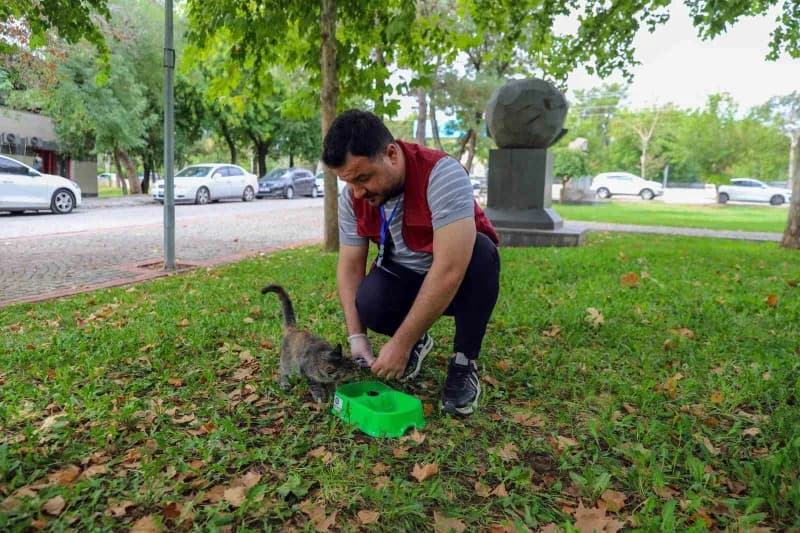 Diyarbakır Büyükşehir Belediyesi, Hayvanları Koruma Günü kapsamında Kent genelinde sokak hayvanlarının yaşam hakkına dik