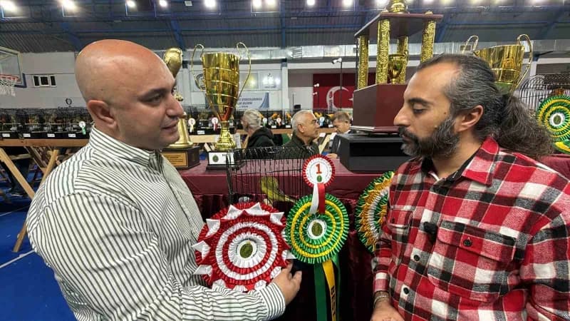 Dereceye girenlere ödülleri verildi