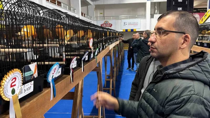 Edremit Yorkshire Kanarya Kulübü tarafından bu yıl 10'uncusu düzenlenen uluslararası Kanarya yarışması rekor katılımla t