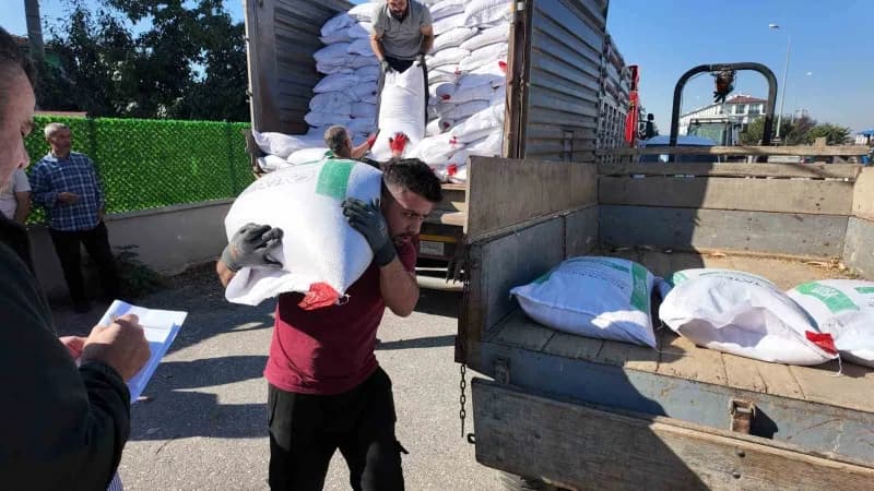 Düzce’de tarımsal üretimi artırmak ve çiftçilerin girdi maliyetlerini azaltmak amacıyla 139 üreticiye 207 bin 300 marul
