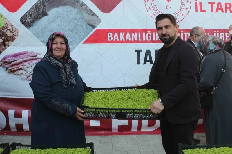 Düzce’de çiftçilere dağıtılan sertifikalı marul fideleri ve buğday tohumları töreni