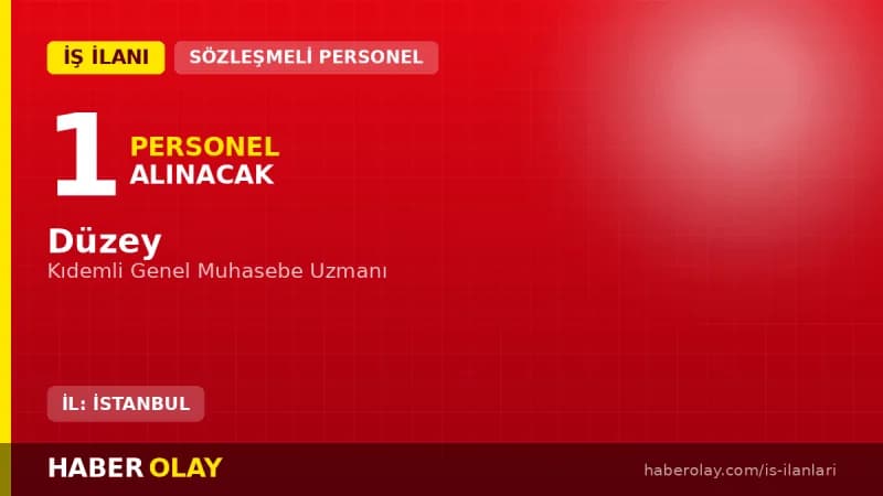 Düzey şirketi Kıdemli Genel Muhasebe Uzmanı personel alımı ilanı