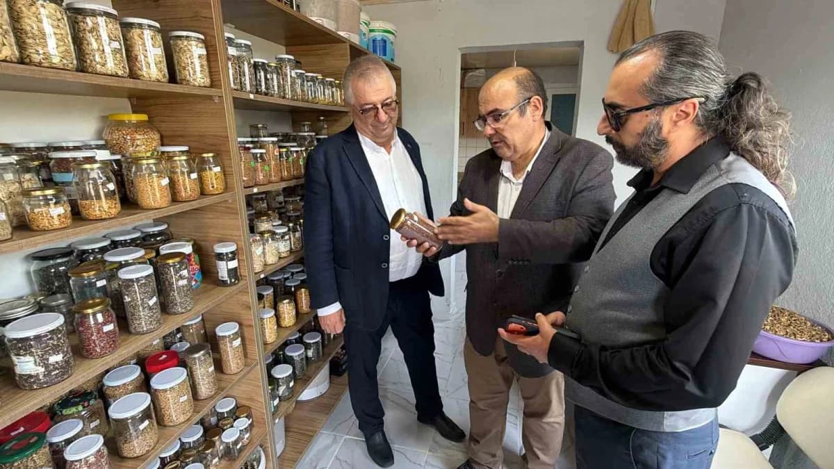 Balıkesir’in Edremit ilçesinde ata tohumlarının korunması ve gelecek kuşaklara aktarılması amacıyla yürütülen çalışmalar