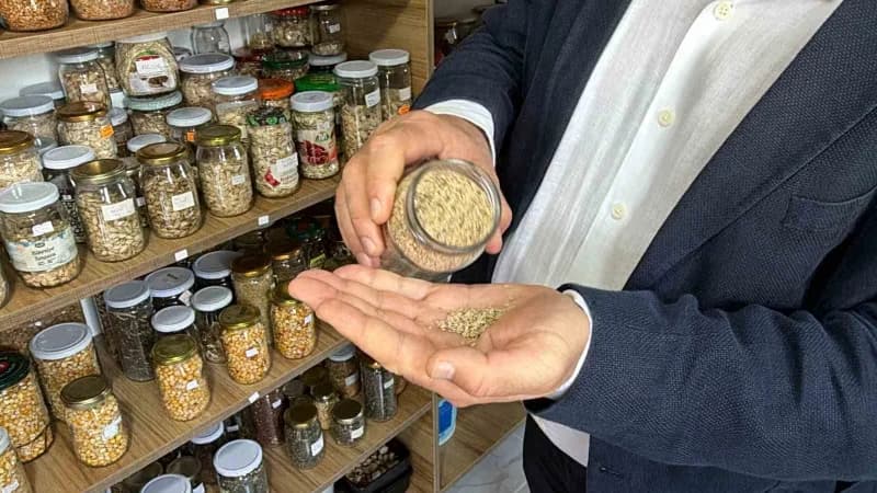 Edremit Belediye Başkanı Mehmet Ertaş, Tohum bankasında 137 çeşit ata tohumunun korunduğunu belirterek, bu tohumlardan y