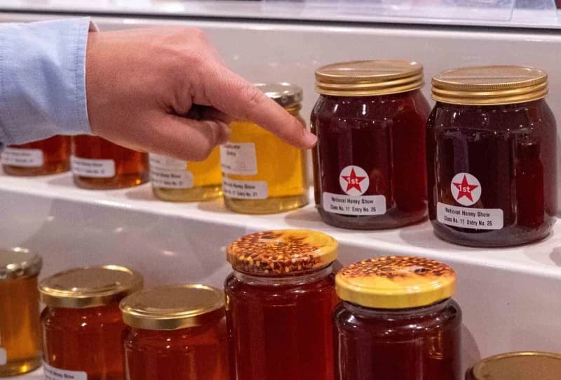 Mersin'in Eğriçayır Yaylası’nda üretilen yüksek Toplam Aktivite (TA) değerine sahip bal, İngiltere'd